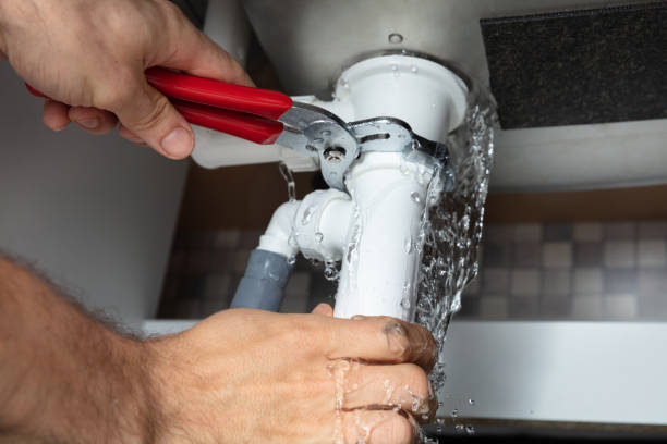 Best Water damage restoration near me  in Ouray, CO