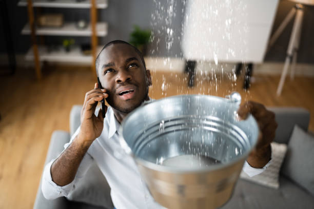 Best Emergency water damage restoration  in Ouray, CO