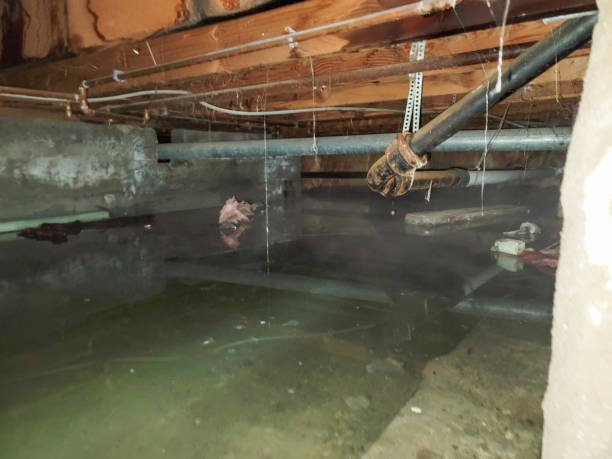 Best Water damage restoration cost  in Ouray, CO