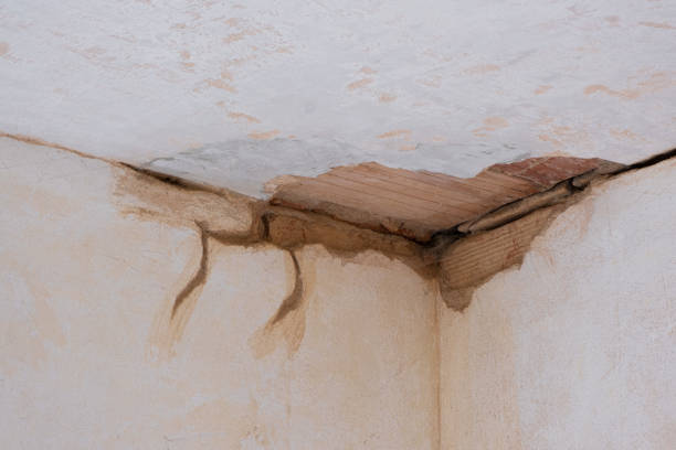Best Commercial water damage restoration  in Ouray, CO
