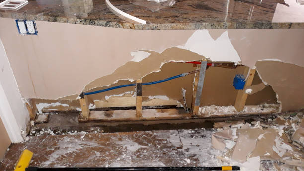 Best Flood restoration services  in Ouray, CO