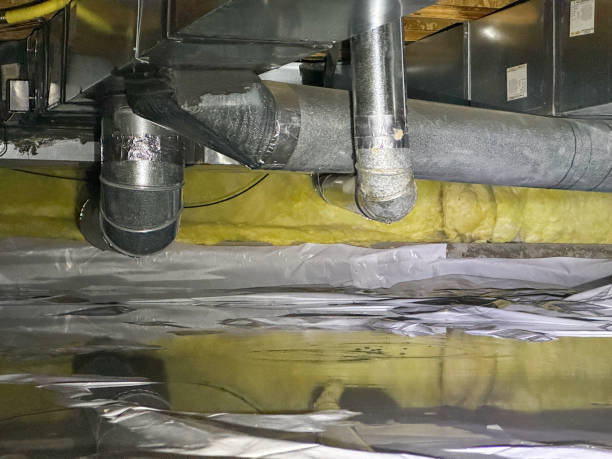 Best Sewage cleanup and water damage restoration  in Ouray, CO