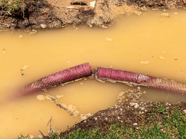 Best Professional water damage repair  in Ouray, CO